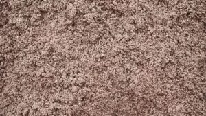 Frontline Washing Systems clean sand production.