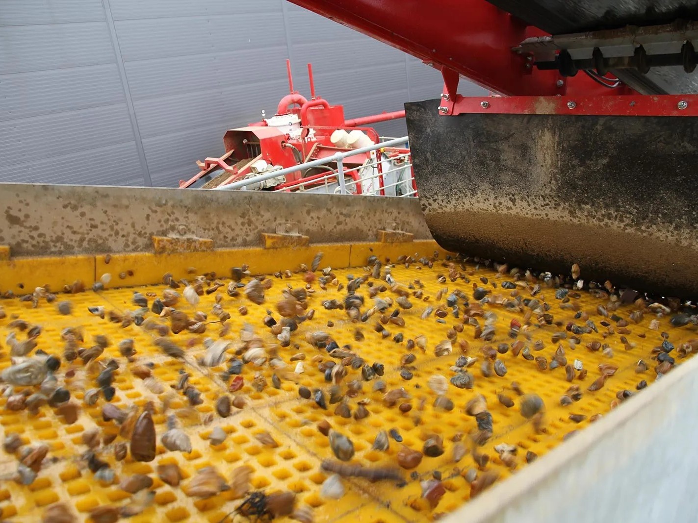 Recycled aggregate washing plant with full water treatment and filter press.