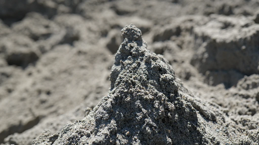Recovered sand from TrackWash Pro at Headlands Environmental
